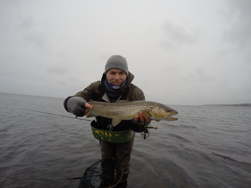 DCIM101GOPROGOPR1116.