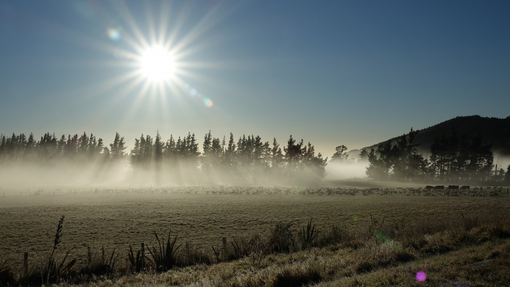 Morgenstemning